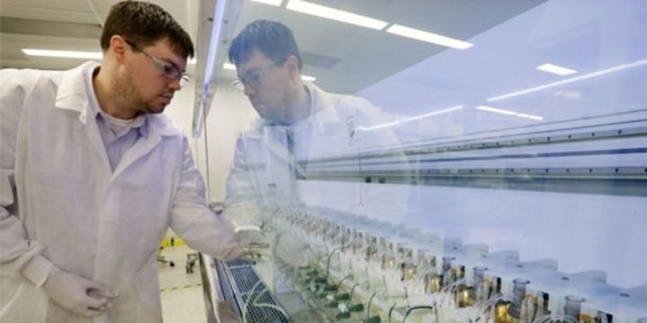 Dünyanın ən qədim dərman şirkəti "Merck&Co" "Vilsan"ı satın alacaq