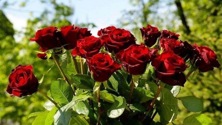 1 kiloqramı üçün 1 dollar gömrük idxal rüsumu alınacaq 