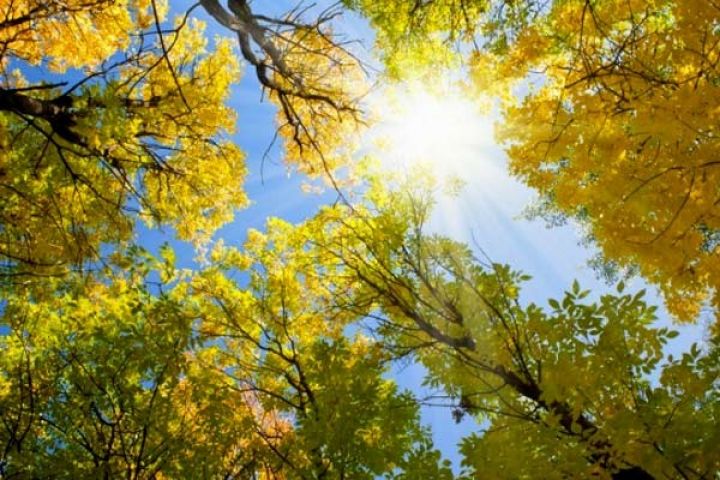 Havanın temperaturu yüksələcək