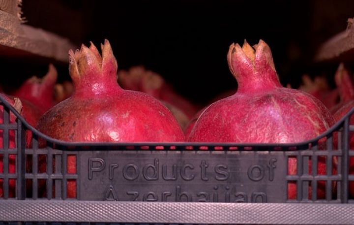 Bakıda nar iclası 
