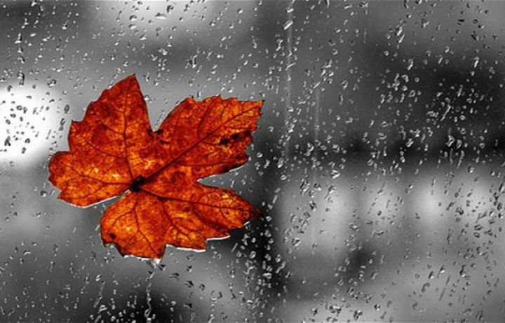 Sabah Azərbaycanda yağış yağacaq, şimşək çaxacaq