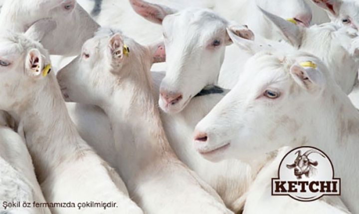 Dələduzluqda ittiham olunan keçi fermasının sahibidir