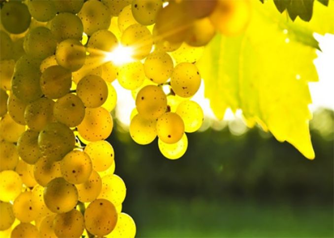 Avqust ayının hava proqnozu