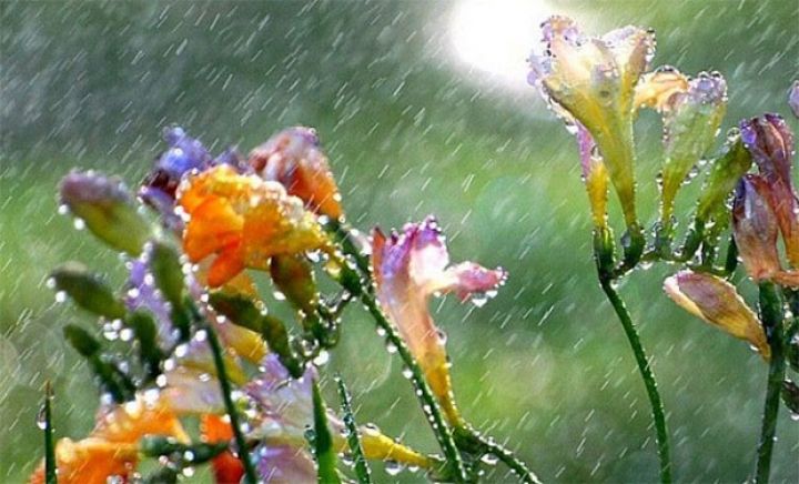 Leysan yağacaq, şimşək çaxacaq, dolu düşəcək