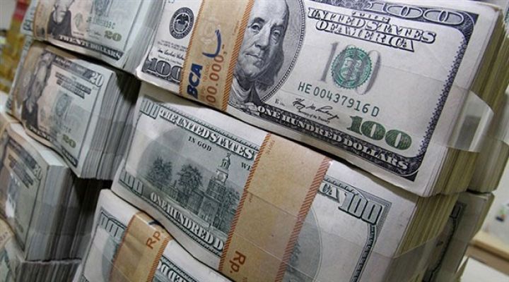 Mərkəzi Bank valyuta ehtiyatlarını açıqladı