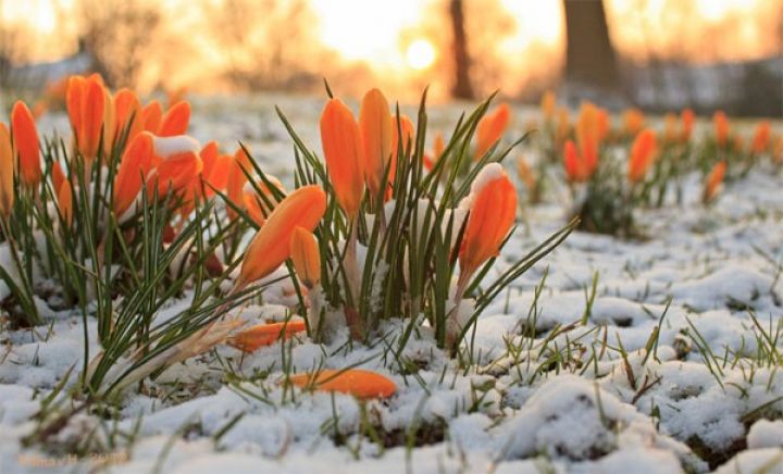 Növbəti 3 günün hava proqnozu açıqlandı