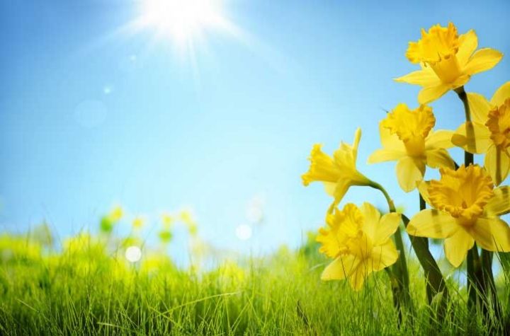 Həftənin ilk iş gününə olan hava proqnozu açıqlanıb