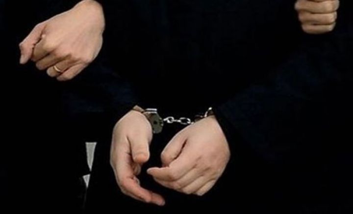 Dövlət Gömrük Komitəsinin vəzifəli şəxslərinə cinayət işi açılıb