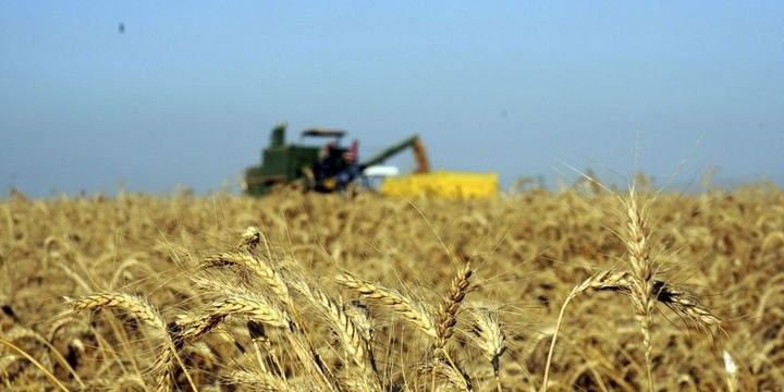 FAO: Qlobal ərzaq qiymətləri 2019-da 1,8% artıb