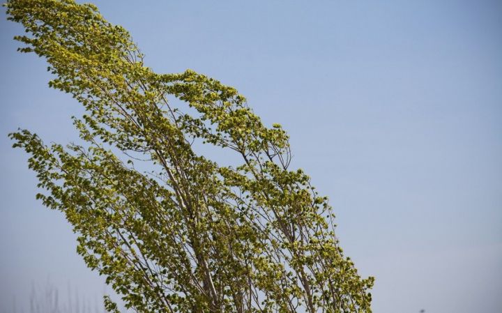 Bakıda və rayonlarda hava şəraiti dəyişəcək - XƏBƏRDARLIQ