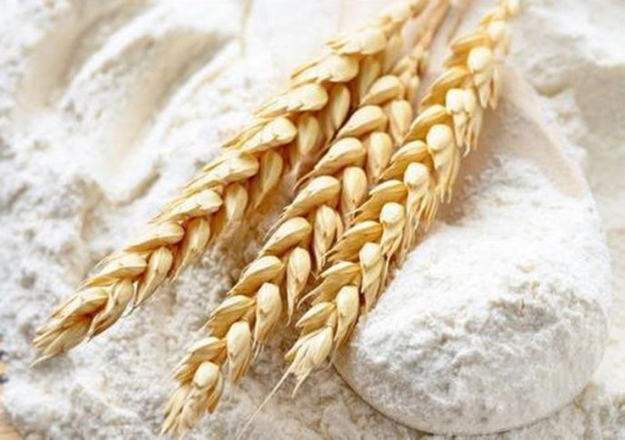 Buğda ununun dövlət standartı təsdiq edilib
