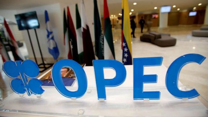 OPEC+dan sürpriz yoxdur