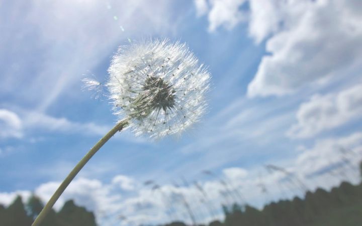 Aprel ayına olan hava proqnozu açıqlandı