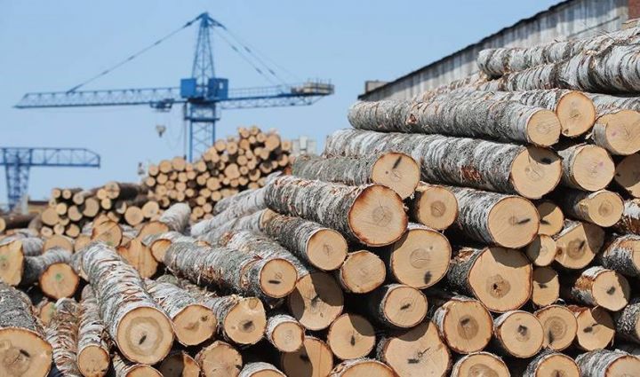 Rusiyanın ağac məhsulları ixracı 2022-ci ildə 10% azalıb