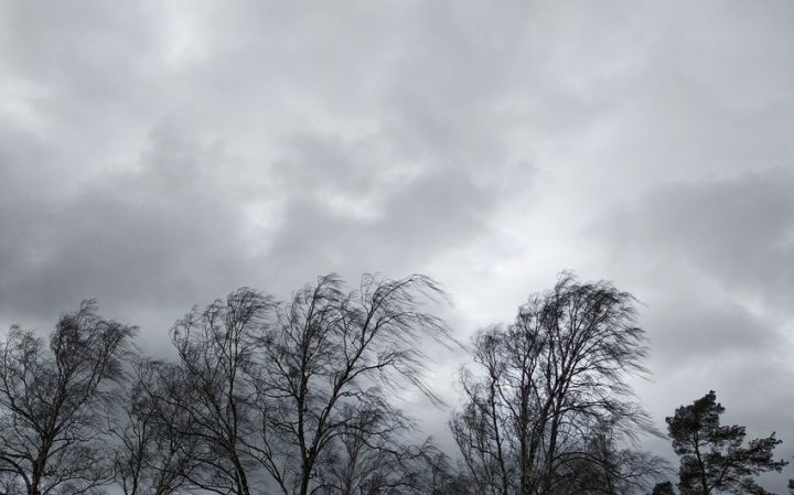 Küləkli hava şəraiti bu tarixdən mülayimləşəcək - AÇIQLAMA