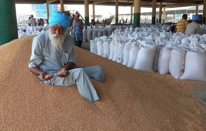 "Belə bir addım dünya taxıl bazarında böhranı daha da gücləndirəcək"