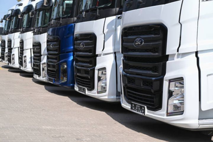 “Qırmızı Körpü” gömrük postunda 850 yük maşını var