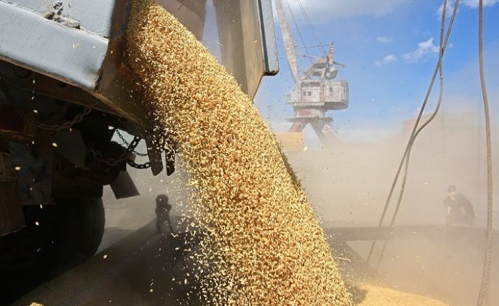 Rusiya taxıl yığımı proqnozunu artırıb