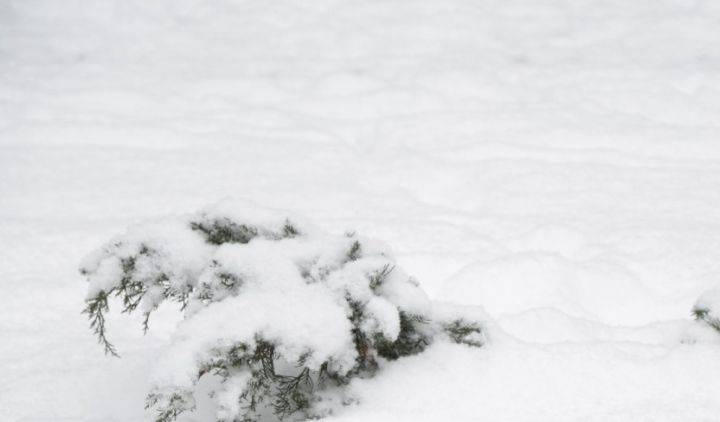 Qar örtüyünün hündürlüyü Qaxda 88 sm olub - FAKTİKİ HAVA