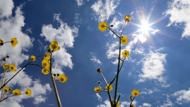 Mart ayına olan hava proqnozu açıqlandı