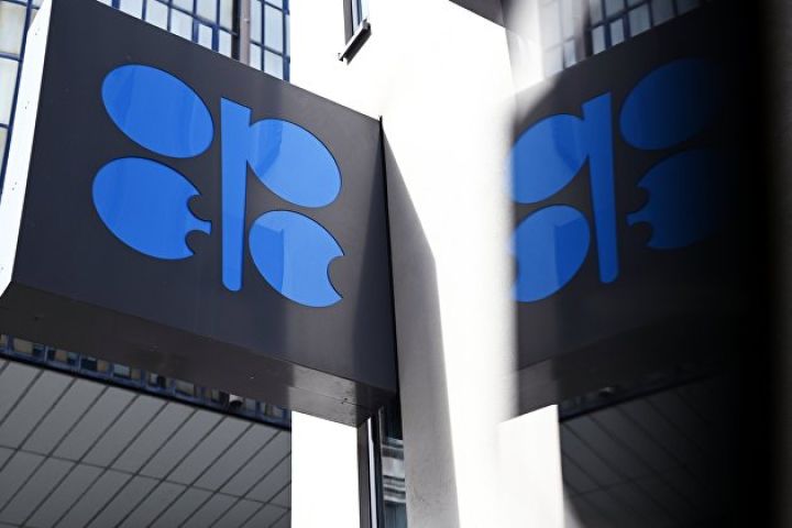 OPEC 2023-cü ildə qlobal neft tələbinin artacağını gözləyir