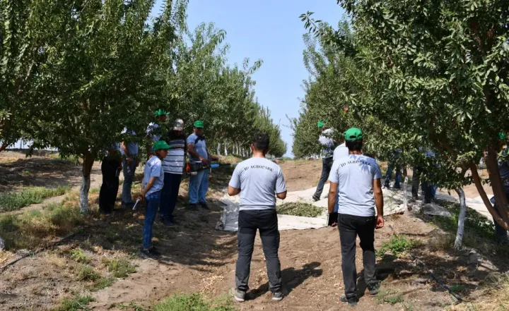 Aqropark şirkətində 21 milyon manat zərər yığılıb