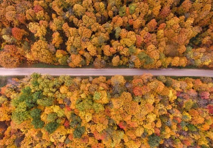 Sabaha olan hava proqnozu açıqlanıb