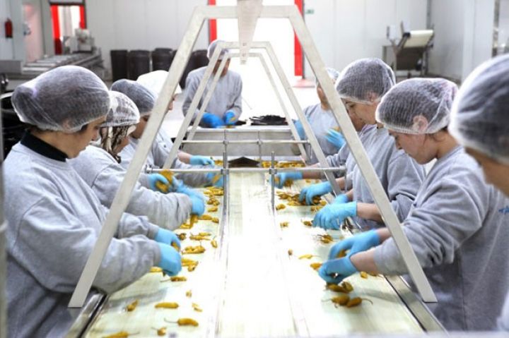 Qeyri-neft sektorunda məhsul istehsalı 10,8 faiz artıb