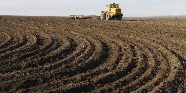 Ərəblər Ukraynanın kənd təsərrüfatı şirkətini satın aldılar