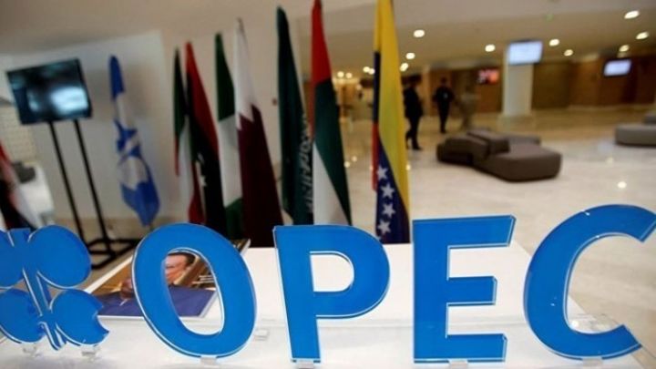 Azərbaycanın Energetika naziri “OPEC plus” tədbirində iştirak edəcək