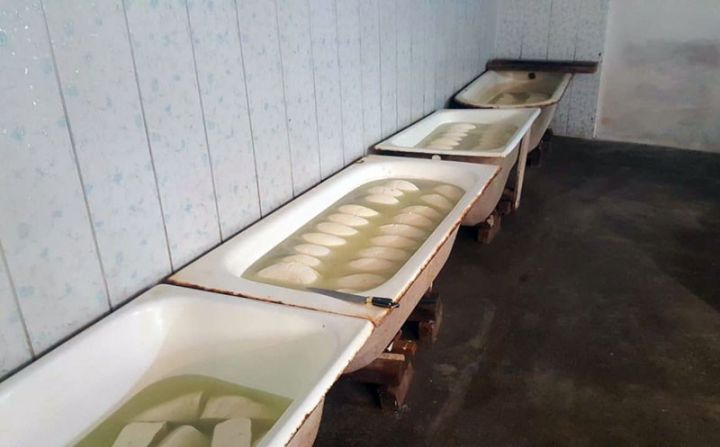 Bərdədə murdar şəraitdə pendir istehsal edən 2 müəssisənin fəaliyyəti məhdudlaşdırıldı