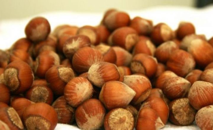 Türkiyənin fındıq ixracında rekord