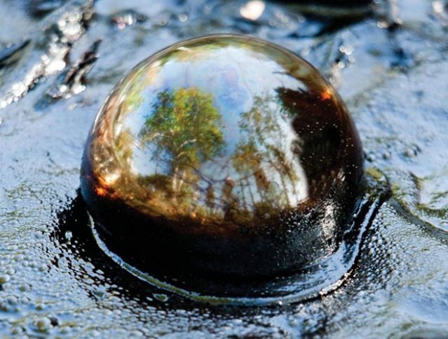 "Ucuz neft dövrü 2040-cı ilə qədər davam edəcək"