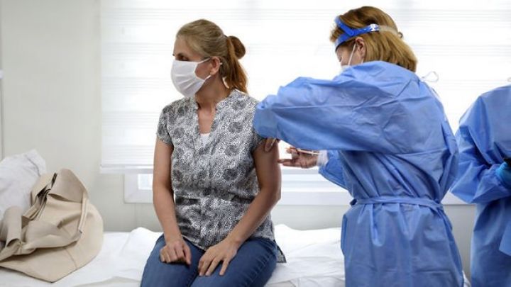 Türkiyədə peyvəndləmə sayında yeni rekord