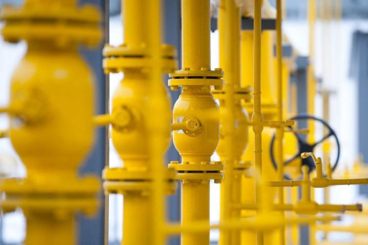 Avropada qazın qiyməti 1 000 dolları ötdü