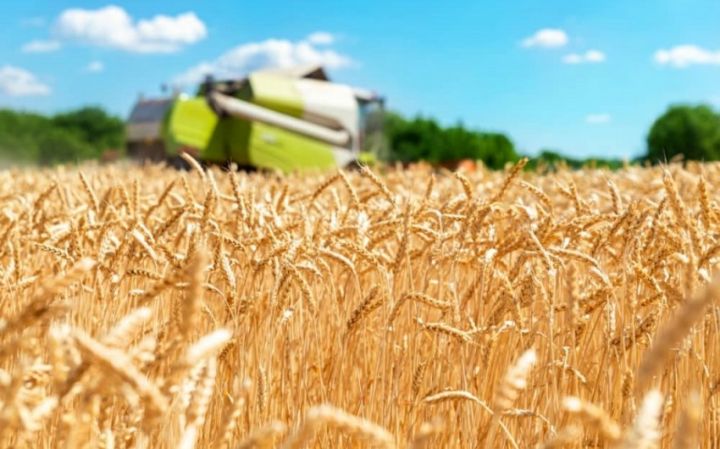 Rusiyanın məşhur kənd təsərrüfatı şirkətinin gəliri kəskin azalıb