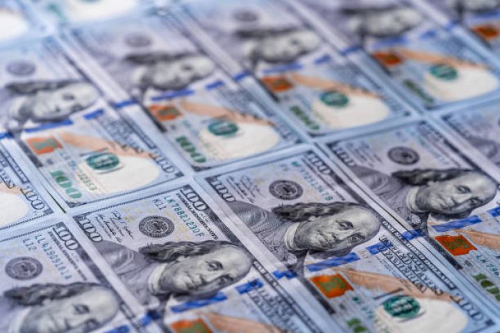 Valyuta hərracında dollara böyük tələb qalır - HƏRRACIN NƏTİCƏSİ
